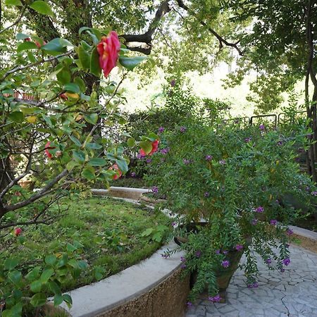 Ferienwohnung La Casa Dell'Albero La Spezia Exterior foto